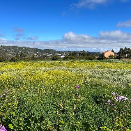 Casa La Veguetilla En San Mateo Vega de San Mateo Eksteriør billede