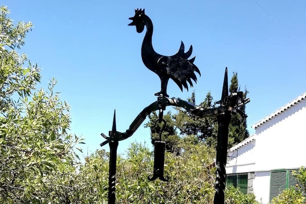 Casa La Veguetilla En San Mateo Vega de San Mateo Eksteriør billede
