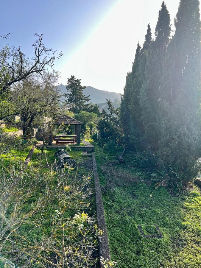 Casa La Veguetilla En San Mateo Vega de San Mateo Eksteriør billede